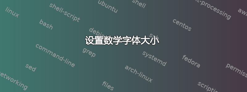 设置数学字体大小