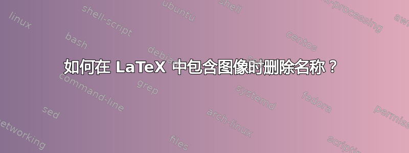 如何在 LaTeX 中包含图像时删除名称？