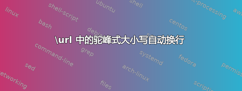 \url 中的驼峰式大小写自动换行