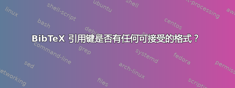 BibTeX 引用键是否有任何可接受的格式？