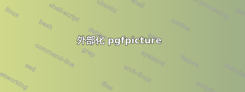 外部化 pgfpicture 