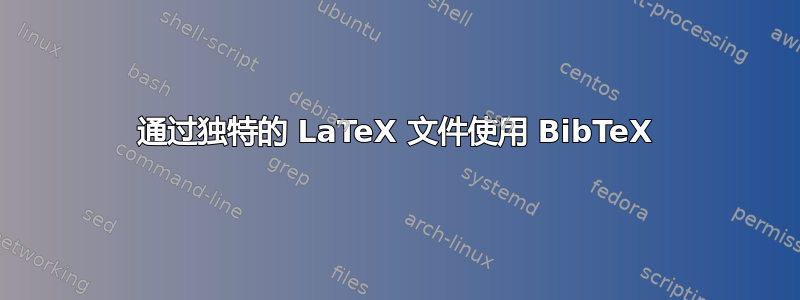 通过独特的 LaTeX 文件使用 BibTeX