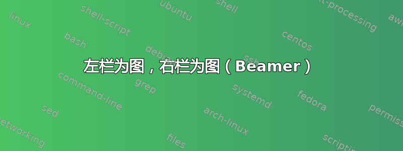 左栏为图，右栏为图（Beamer）