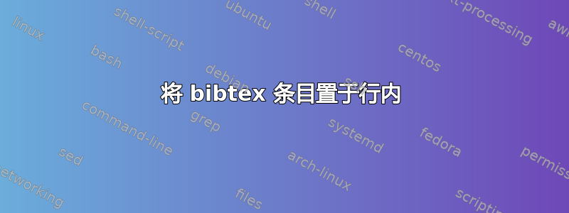 将 bibtex 条目置于行内