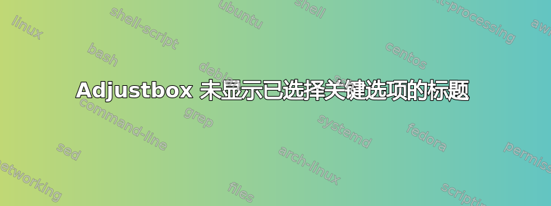 Adjustbox 未显示已选择关键选项的标题