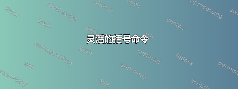 灵活的括号命令