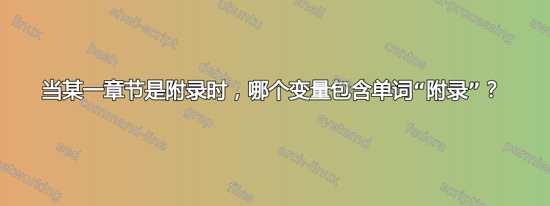 当某一章节是附录时，哪个变量包含单词“附录”？