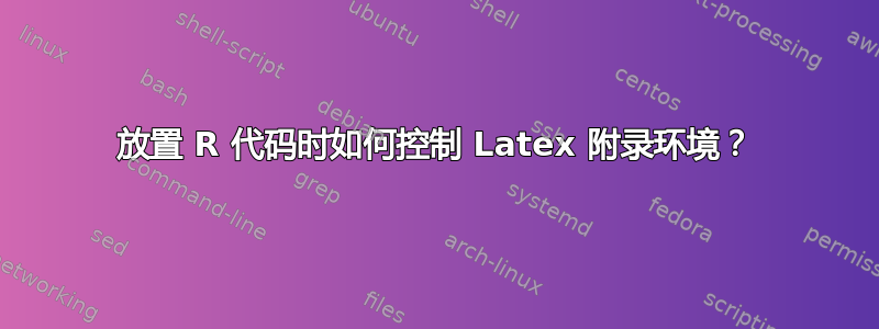 放置 R 代码时如何控制 Latex 附录环境？