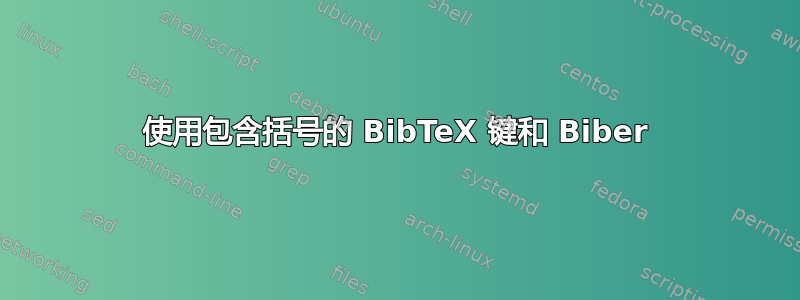 使用包含括号的 BibTeX 键和 Biber