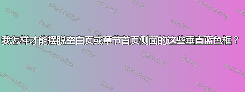 我怎样才能摆脱空白页或章节首页侧面的这些垂直蓝色框？