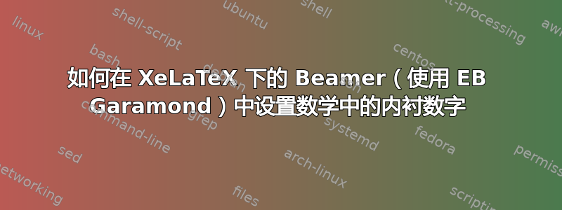 如何在 XeLaTeX 下的 Beamer（使用 EB Garamond）中设置数学中的内衬数字