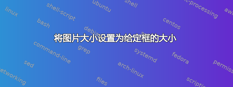 将图片大小设置为给定框的大小