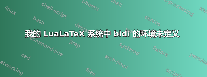 我的 LuaLaTeX 系统中 bidi 的环境未定义