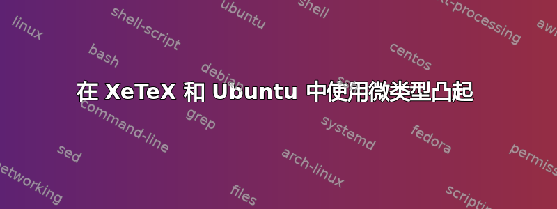 在 XeTeX 和 Ubuntu 中使用微类型凸起