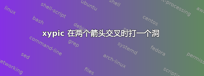 xypic 在两个箭头交叉时打一个洞