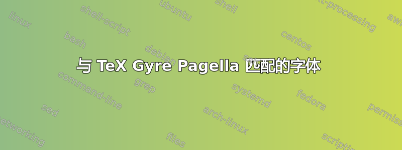 与 TeX Gyre Pagella 匹配的字体