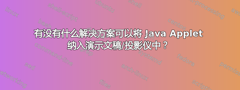 有没有什么解决方案可以将 Java Applet 纳入演示文稿/投影仪中？