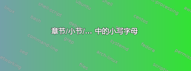 章节/小节/… 中的小写字母