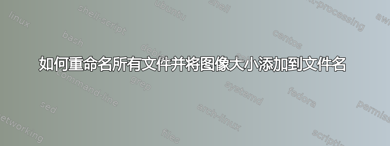 如何重命名所有文件并将图像大小添加到文件名