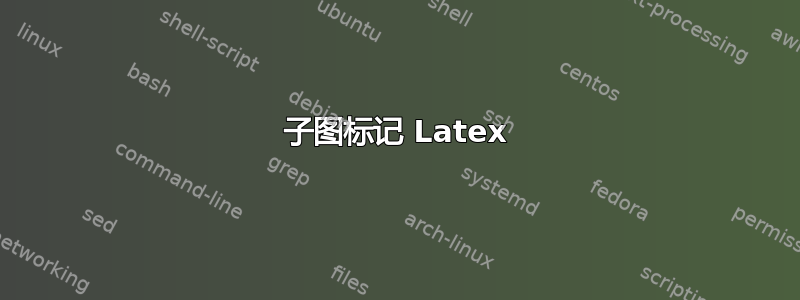 子图标记 Latex