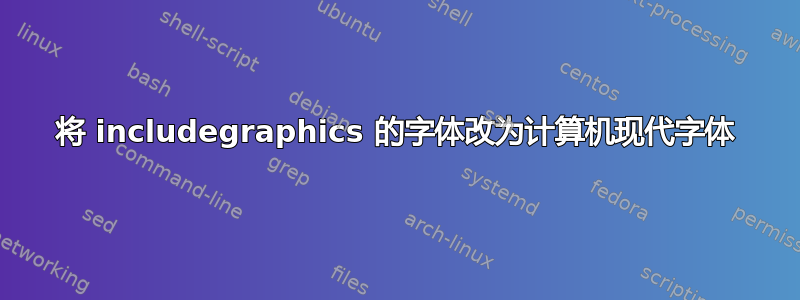 将 includegraphics 的字体改为计算机现代字体