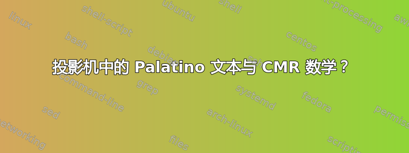 投影机中的 Palatino 文本与 CMR 数学？