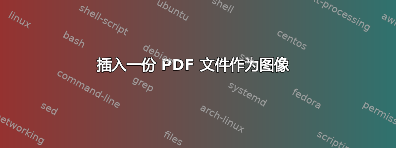 插入一份 PDF 文件作为图像 