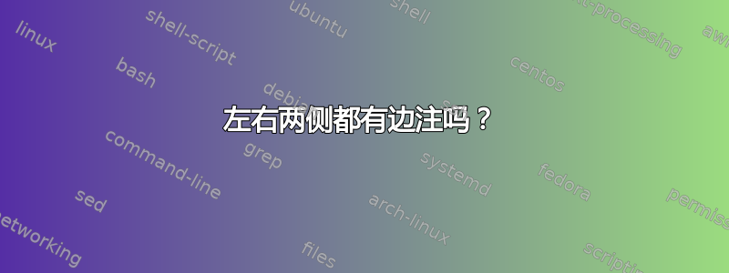 左右两侧都有边注吗？