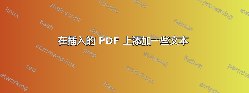 在插入的 PDF 上添加一些文本