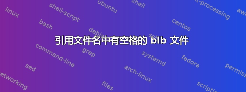 引用文件名中有空格的 bib 文件