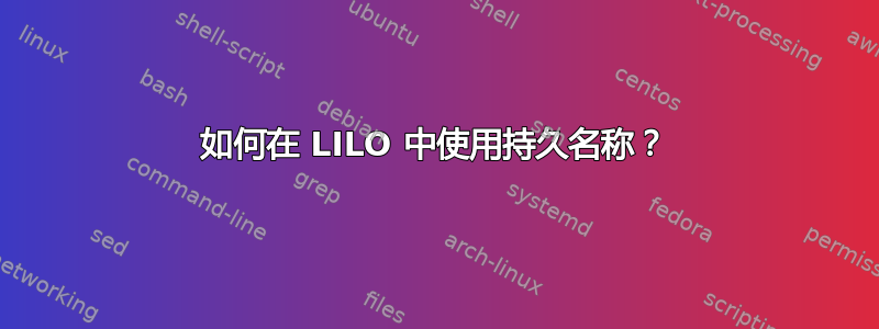 如何在 LILO 中使用持久名称？