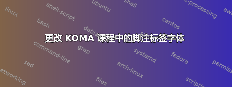 更改 KOMA 课程中的脚注标签字体