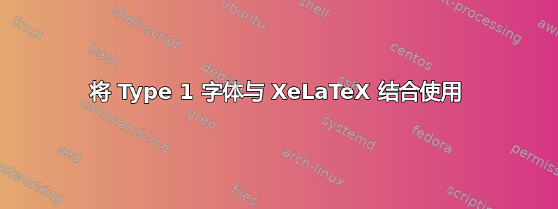 将 Type 1 字体与 XeLaTeX 结合使用