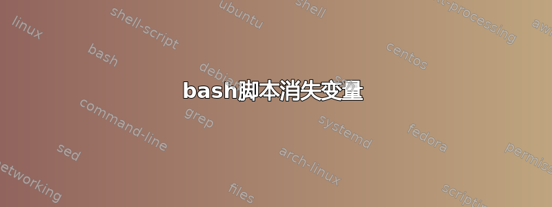 bash脚本消失变量