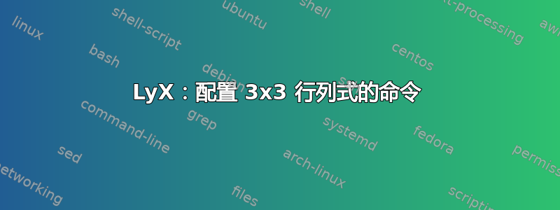 LyX：配置 3x3 行列式的命令