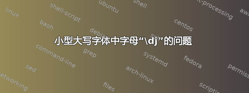 小型大写字体中字母“\dj”的问题