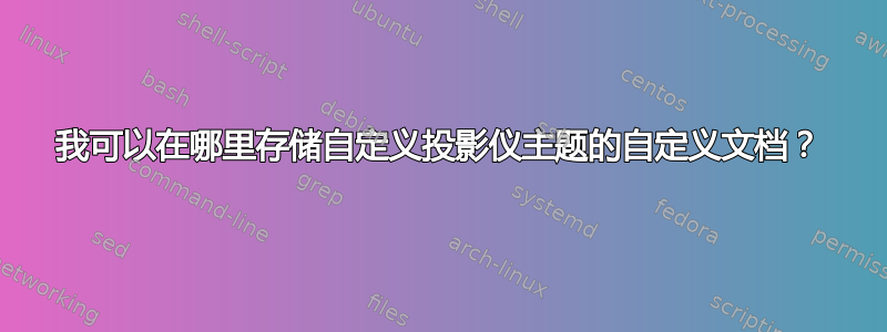 我可以在哪里存储自定义投影仪主题的自定义文档？