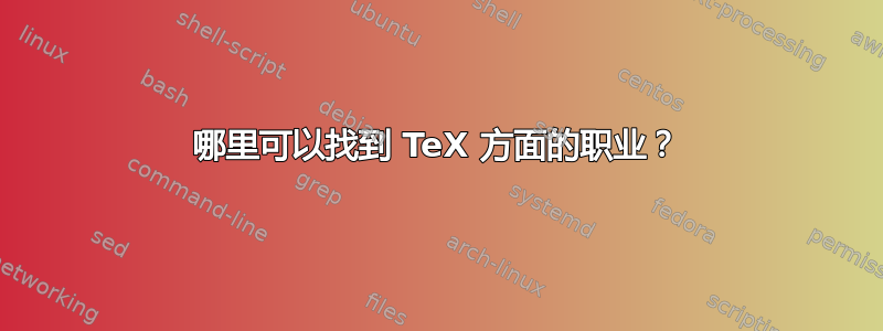 哪里可以找到 TeX 方面的职业？