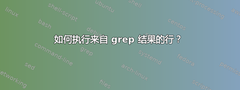 如何执行来自 grep 结果的行？