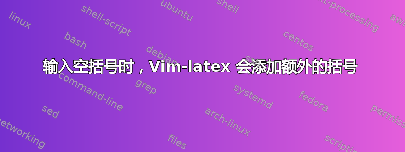 输入空括号时，Vim-latex 会添加额外的括号