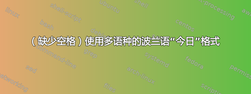 （缺少空格）使用多语种的波兰语“今日”格式