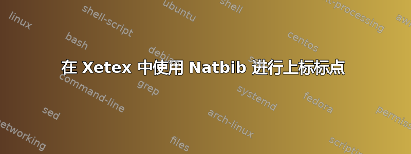 在 Xetex 中使用 Natbib 进行上标标点