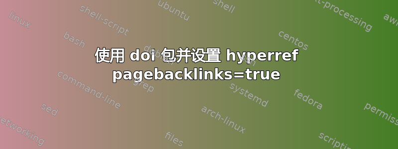 使用 doi 包并设置 hyperref pagebacklinks=true