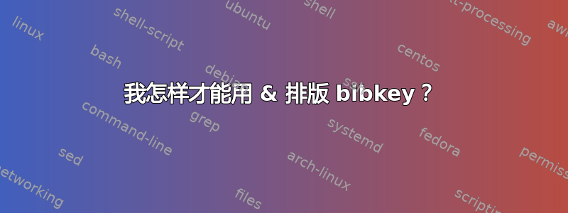 我怎样才能用 & 排版 bibkey？