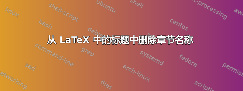 从 LaTeX 中的标题中删除章节名称