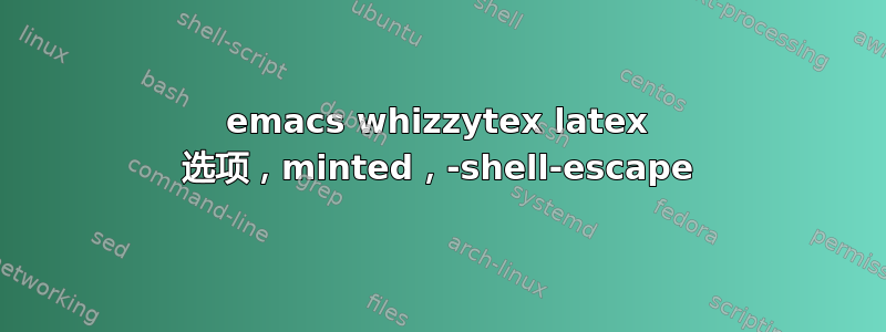 emacs whizzytex latex 选项，minted，-shell-escape