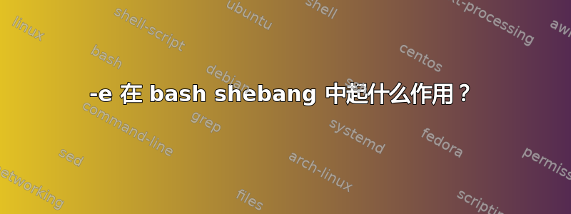 -e 在 bash shebang 中起什么作用？