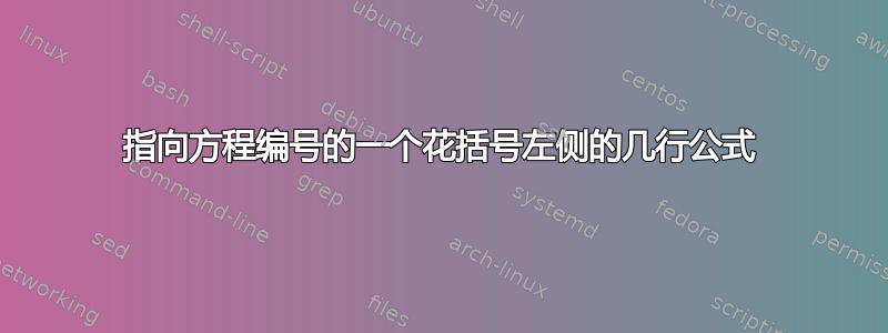 指向方程编号的一个花括号左侧的几行公式