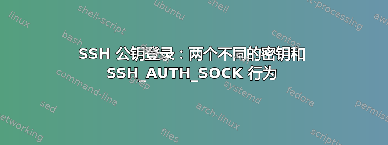 SSH 公钥登录：两个不同的密钥和 SSH_AUTH_SOCK 行为