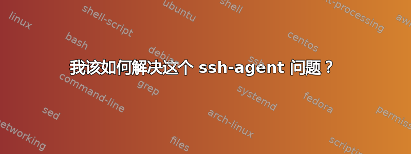 我该如何解决这个 ssh-agent 问题？